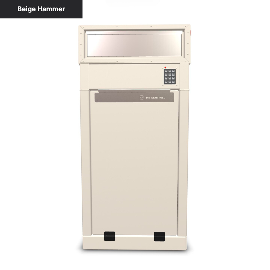 Mailbox Sentinel - Combination Mail and Package Box