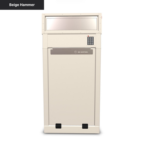 Mailbox Sentinel - Combination Mail and Package Box