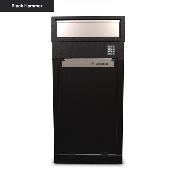 Mailbox Sentinel - Combination Mail and Package Box