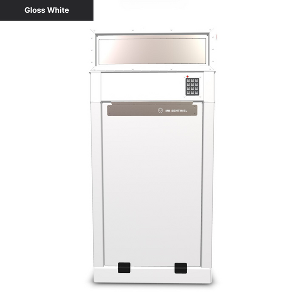 Mailbox Sentinel - Combination Mail and Package Box